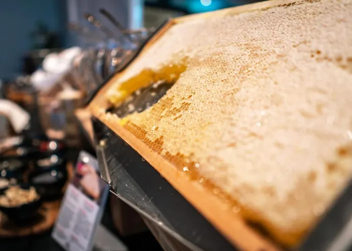 Hotel Be Place Adult Friendly