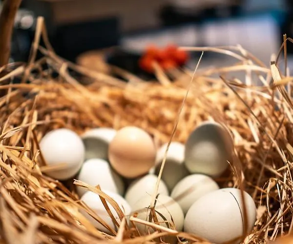 Be Place Adult Friendly 4* Trente